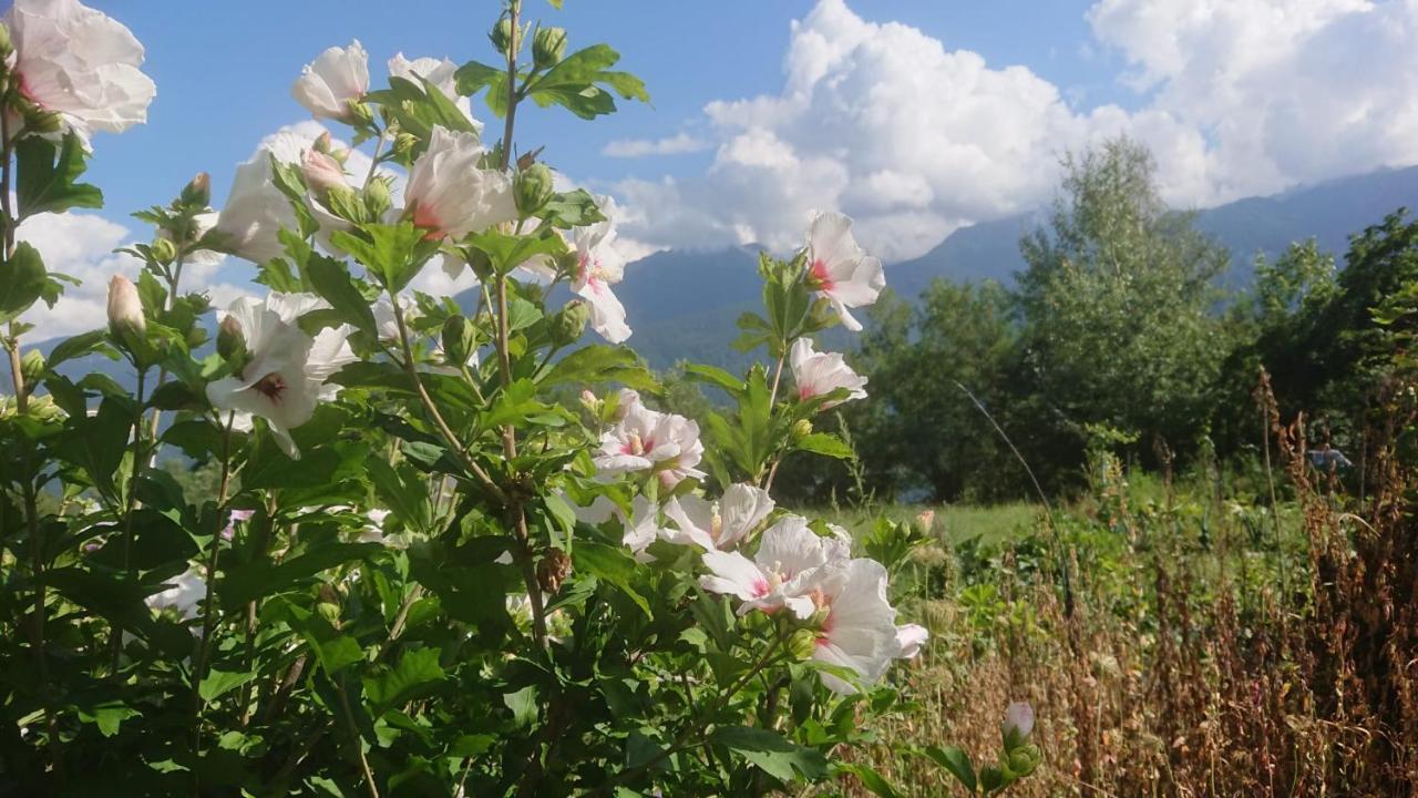 Casa Delle Rose Villa Teglio Buitenkant foto