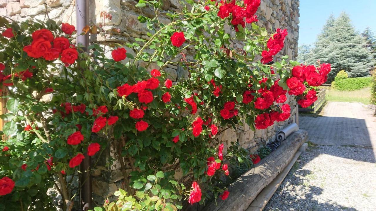 Casa Delle Rose Villa Teglio Buitenkant foto