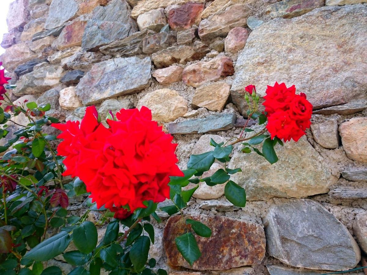 Casa Delle Rose Villa Teglio Buitenkant foto
