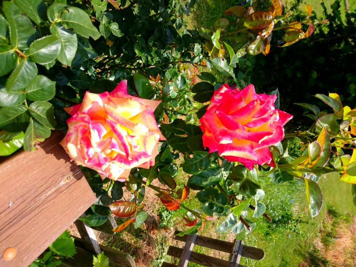 Casa Delle Rose Villa Teglio Buitenkant foto